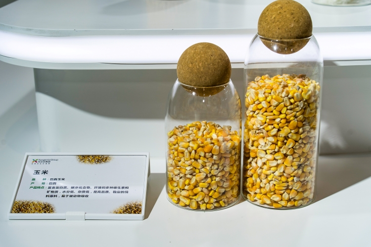 OEŷ��|�ٷ���վ